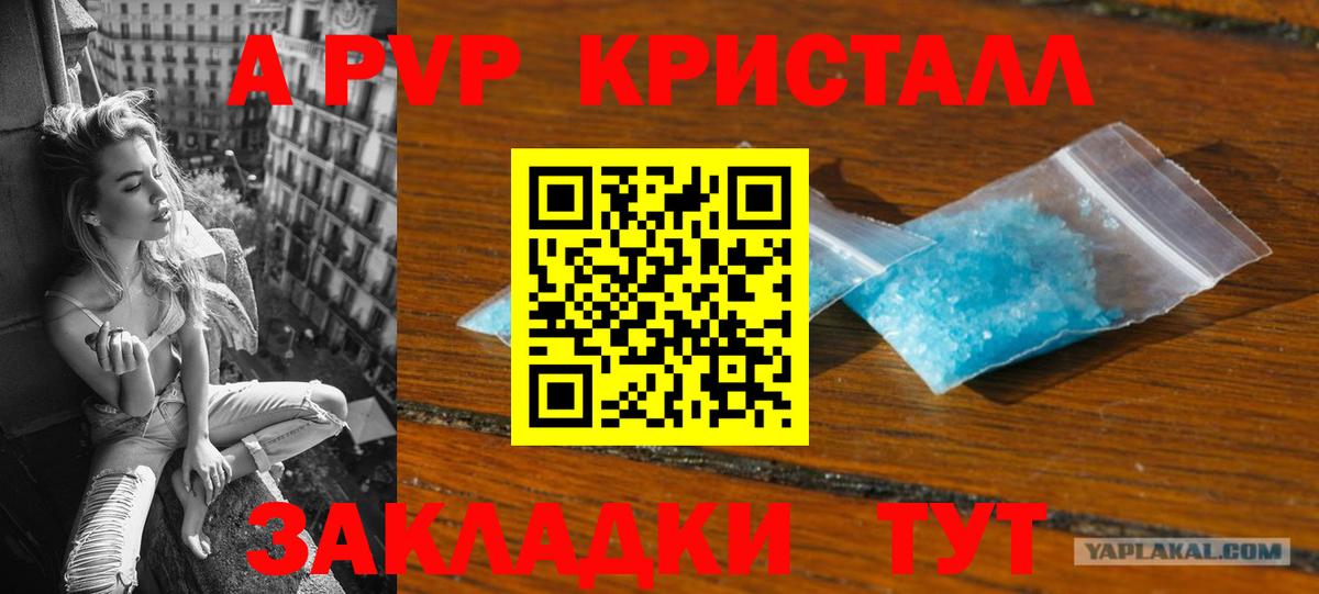 Альфа ПВП СК Кимры